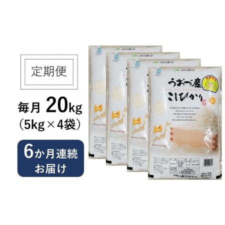 ふるさと納税 20kg（5kg×4袋）×6ヶ月定期便　富山県うおづ産米コシヒカリ 白米　富山米 富山県魚津市