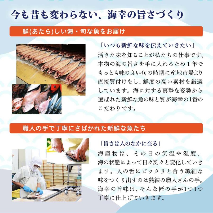 [海幸] 煮干魚類 中羽いりこ 100g×3袋  国内産 いりこ 片口いわし にぼし 煮干し 出汁 おだし