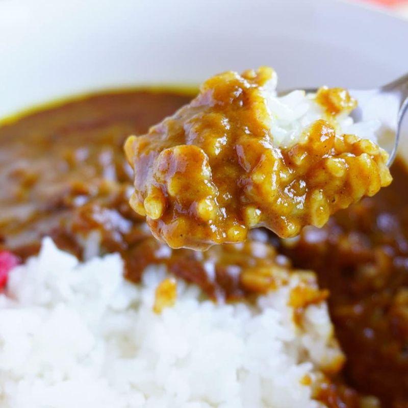 国産牛すじカレ 鳥取和牛 牛すじカレー 250g 10箱セット 鳥取県 ご当地カレー レトルトカレー カレールー