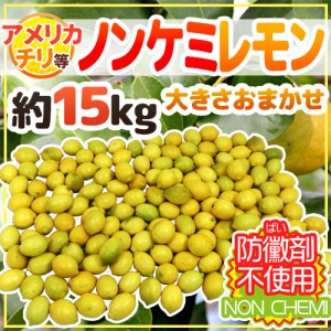 チリ・アメリカ産など ”ノンケミレモン” 大きさおまかせ 約15kg 安心の防ばい剤不使用！ノンケミカル 防黴剤不使用【予約 入荷次第発送