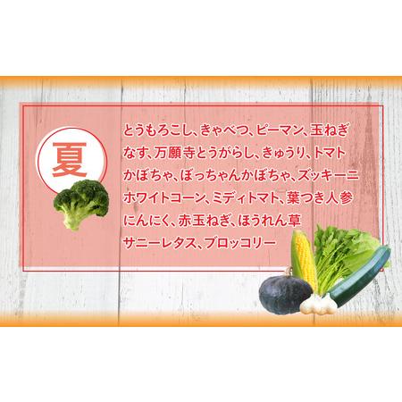 ふるさと納税 鯖街道からお届けする季節の新鮮野菜セット 8種以上[A-023007] 福井県小浜市