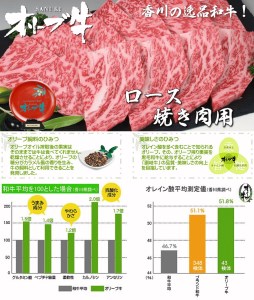 黒毛和牛オリーブ牛ロース焼肉用 約500ｇ_M18-0018