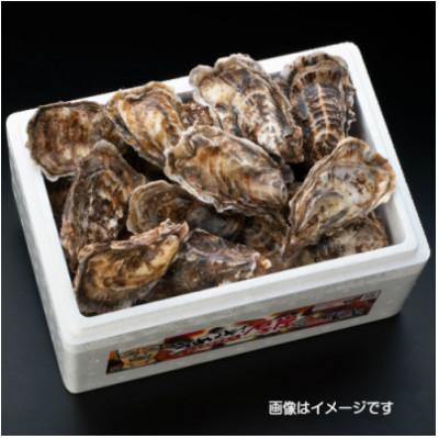 ふるさと納税 厚岸町 北海道厚岸町産 牡蠣 生食用 殻付カキ 「マルえもん」3Lサイズ10個入り