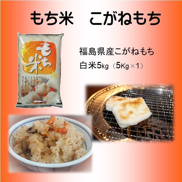 令和5年産　白米　もち米　5kg　こがねもち　福島県中通り 白河産