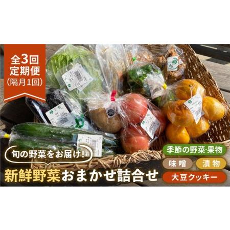 ふるさと納税 新鮮野菜・加工品 おまかせ詰め合わせ野菜 フルーツ 漬物[HAG016] 佐賀県江北町