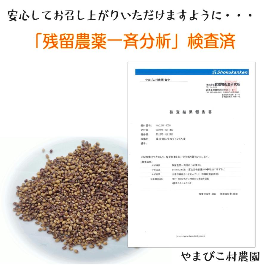 もち麦　ダイシモチ　雑穀　穀類　国産　1kg×3袋　残留農薬ゼロ不検出　おためし価格セール中