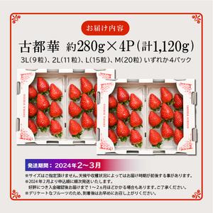 ふるさと納税 高級いちご「古都華」3L〜Mサイズ４パック 高級 いちご 古都華 約1120g 4パック 3L 〜 M サイズ 華やかな香.. 奈良県生駒市