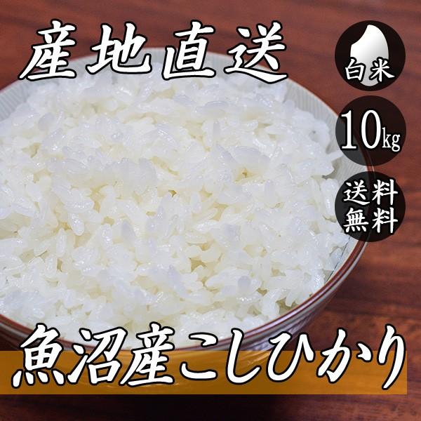 お米 10kg 魚沼産 コシヒカリ 5kg×2袋 送料無料 令和5年産 米 白米