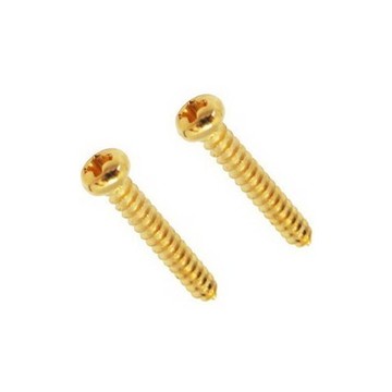 floyd rose frsrsgp 壓弦條螺絲 stree tree 螺絲 (金色) 電吉他零件