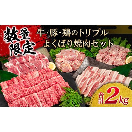 ふるさと納税 宮崎県 日南市 ≪数量限定≫牛・豚・鶏のトリプルよくばり焼肉セット(合計2kg)　肉　牛肉　豚肉　鶏肉 C73-21