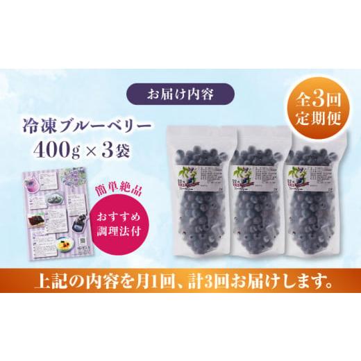 ふるさと納税 熊本県 山都町 冷凍ブルーベリー 計1.2kg 400g × 3パック 熊本県産 山都町産 ブルーベリー フルーツ スムージー 果物 小分…