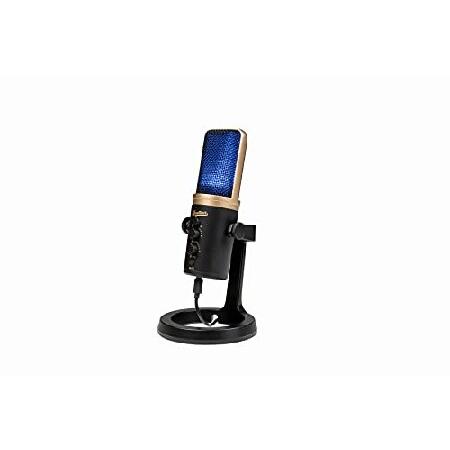 Headliner Roxy Stereo USB Microphone with Dual Condenser Capsules for Mac, PC, iOS and Android (HL90510)