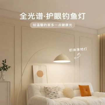 樂天最低價 免運/可開發票 110V立燈/落地燈 釣魚落地燈ins奶油風客廳沙發邊臥室床頭燈現代簡約護眼落地臺燈 快速出貨