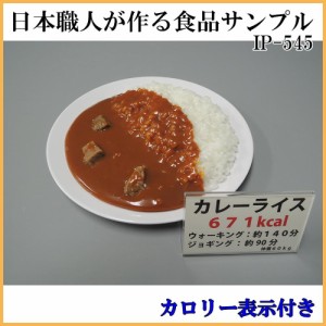 日本職人が作る 食品サンプル カロリー表示付き カレーライス IP 545