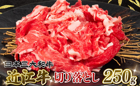 近江牛 切り落とし 250g 冷凍 黒毛和牛 12月13日までのご寄付で年内配送可能 大人気近江牛切り落とし 人気近江牛切り落とし 大人気和牛切り落とし 人気和牛切り落とし 大人気黒毛和牛近江牛切り落とし 人気黒毛和牛近江牛切り落とし 大人気牛肉近江牛切り落とし 人気牛肉近江牛切り落とし 黒毛和牛切り落とし 冷凍和牛近江牛切り落とし 近江牛切り落とし 和牛近江牛切り落とし 牛肉切り落とし ブランド和牛 和牛 牛肉)