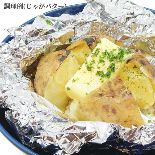 大分県佐伯産ブリからすみパウダー ブリッタルガ(Brittarga) 50g×2個セット つるみの塩 粉末 オートモズフィッシュアンドファーム