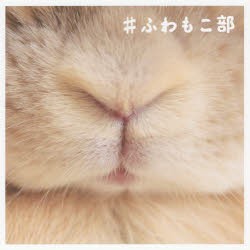 ふわもこ部 最高のもふもふをあなたに