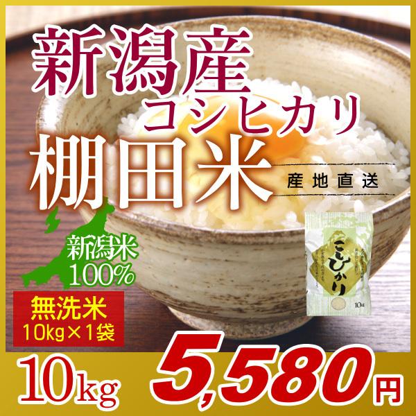 新潟コシヒカリ 無洗米 10kg／新米 米 お米 新潟 コシヒカリ こしひかり 新潟米 棚田米 おいしいお米 白米 精米 10キロ