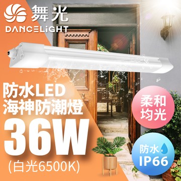 DanceLight舞光 4呎 36W LED海神防潮燈 IP66防水 戶外燈具(白光)