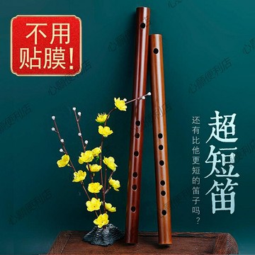 隨身迷你無膜笛專業初學一節短竹笛子冷門小型樂器F女古風兒童G調