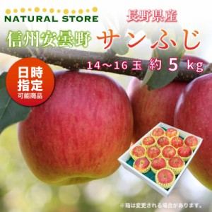 [予約 2023年 11月25日-12月10日の納品] サンふじ 14-16玉 大玉 約 5kg りんご 長野県産 安曇野 冬ギフト お歳暮 御歳暮