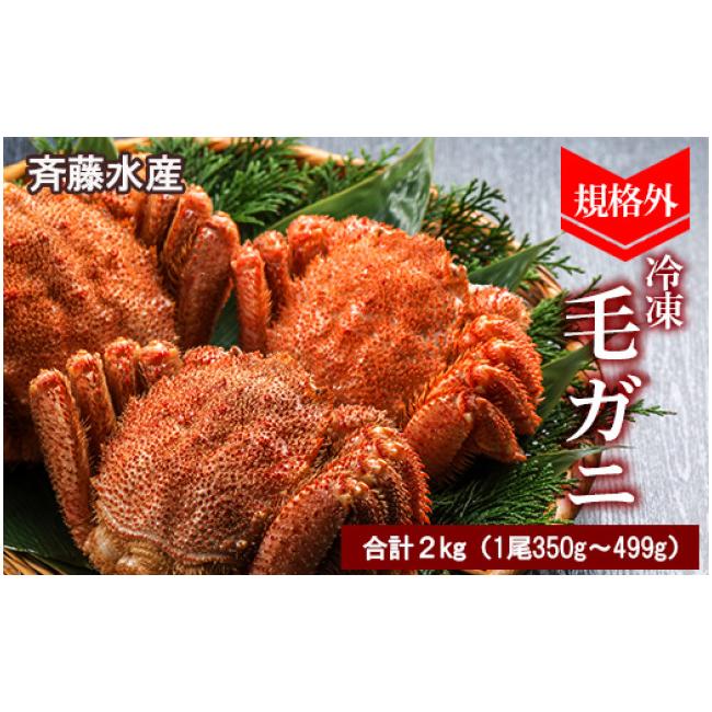 ふるさと納税 北海道 白老町 規格外！毛がに2kgセット(1尾約350g〜499g)