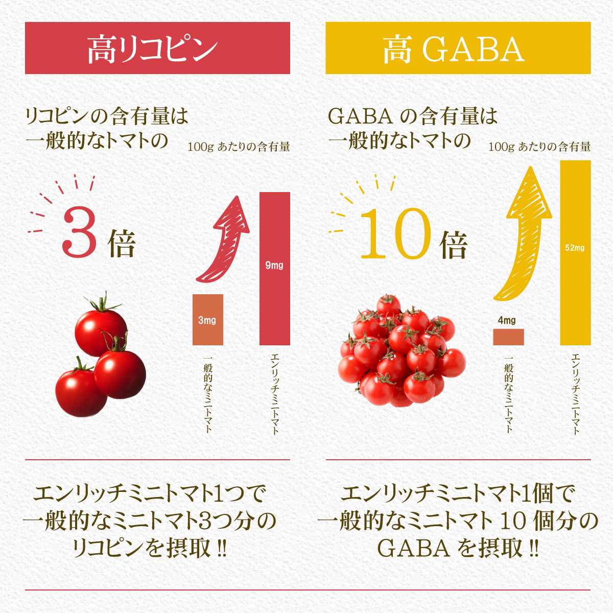 プレミアムエンリッチミニトマト 300g 糖度11以上 送料無料 高糖度 高リコピン 高GABA 北海道 長万部 ギフト プレゼント 贈答品