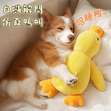 陪睡鴨 磨牙玩具 陪睡玩具 狗狗玩具 寵物玩具 狗玩具 寵物睡枕  靠枕 發洩玩具 小黃鴨 耐磨耐咬 發聲玩具