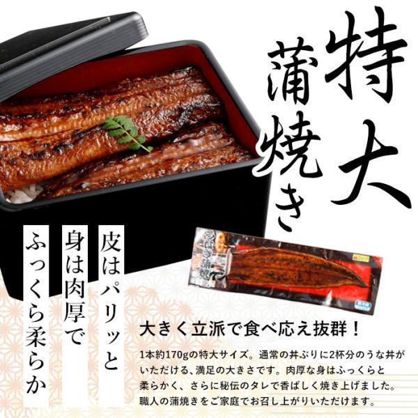 国産 うなぎ蒲焼き 3種 詰め合わせ 蒲焼き ハーフサイズ きざみうなぎ 蒲焼きセット 特大サイズ 鹿児島県産 鰻 うなぎ ひつまぶし 鰻めし うな重 うな丼