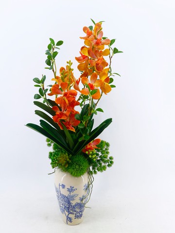 橘萬代蘭青花瓷花禮 免運專人配送限雙北市 其餘地區需補運費