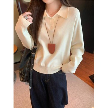 韓版polo領紐扣針織毛衣女秋季2025新款寬松百搭長袖安迪絨上衣潮