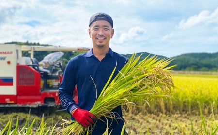 定期便 3か月 きぬむすめ 令和5年 10kg 米 コメ こめ 萩産  KAMITAMA