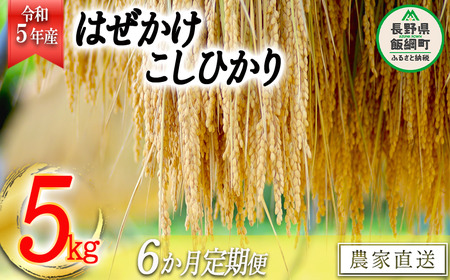 米 こしひかり 5kg × 6回 令和5年産 黒柳さんのお米 はぜかけ 沖縄県への配送不可 2023年11月上旬頃から順次発送予定 コシヒカリ 白米 精米 お米 信州 78000円 予約 農家直送 長野県 飯綱町 [0433]