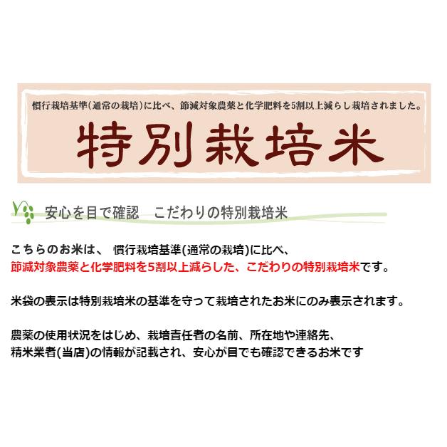 特価  新米 令和5年産 無洗米 5kg×2 はえぬき 10kg 山形県産 特別栽培米 お米 送料無料（SL）