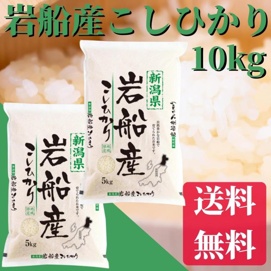 新米 令和5年　米 10kg 送料無料 岩船産こしひかり 10kg（5kg×2） 精米 お米 白米 コシヒカリ こしひかり