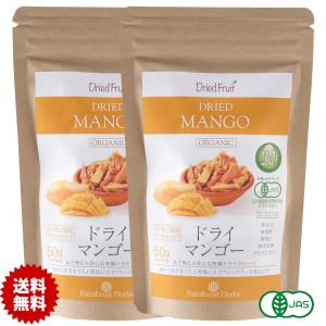 有機 ドライマンゴー50g 2袋 砂糖不使用 タイ産 JASオーガニック マンゴー マハチャノック種 無添加 無漂白 無保存剤 グルテンフリー