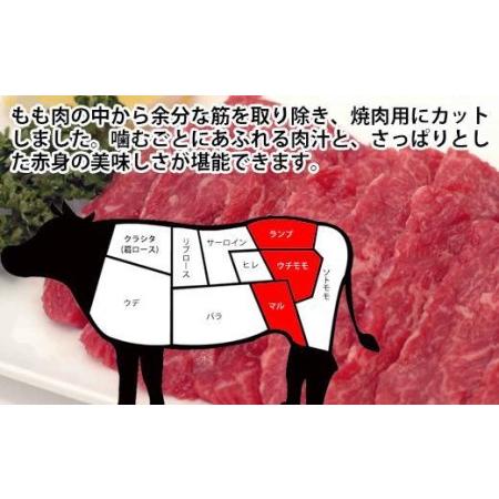 ふるさと納税 南国高知の土佐和牛焼肉セット600g　3種盛　牛肉セット　肉詰め合わせ 高知県高知市