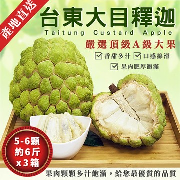 【金好迦】嚴選台東大目釋迦x3箱 (大粒果5~6顆/6斤) 台東綠寶石 產地直送
