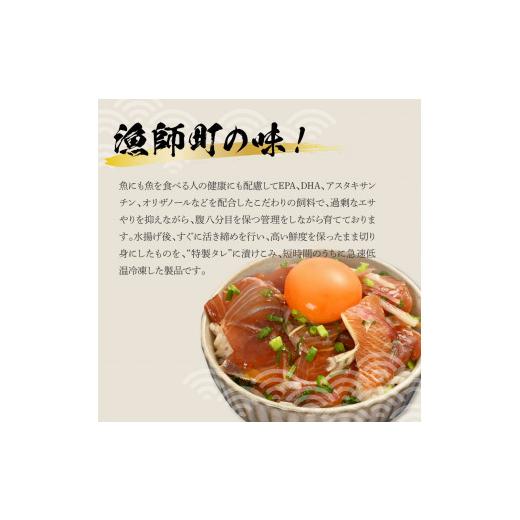 ふるさと納税 高知県 土佐市 活き締めブリの醤油漬け丼（4P）セット