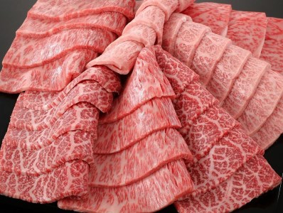 京都肉ステーキ（170g×3枚）＆焼肉盛り合わせ（700g）＆すき焼き・しゃぶしゃぶ用セット（700g）