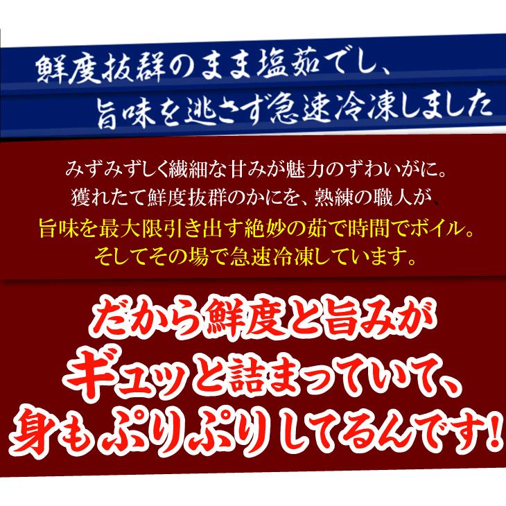 かに 3kg ボイルずわいがに 姿 大特価 メガ盛 6~8尾 蟹 ゆでがに 送料無料 冷凍便 食品