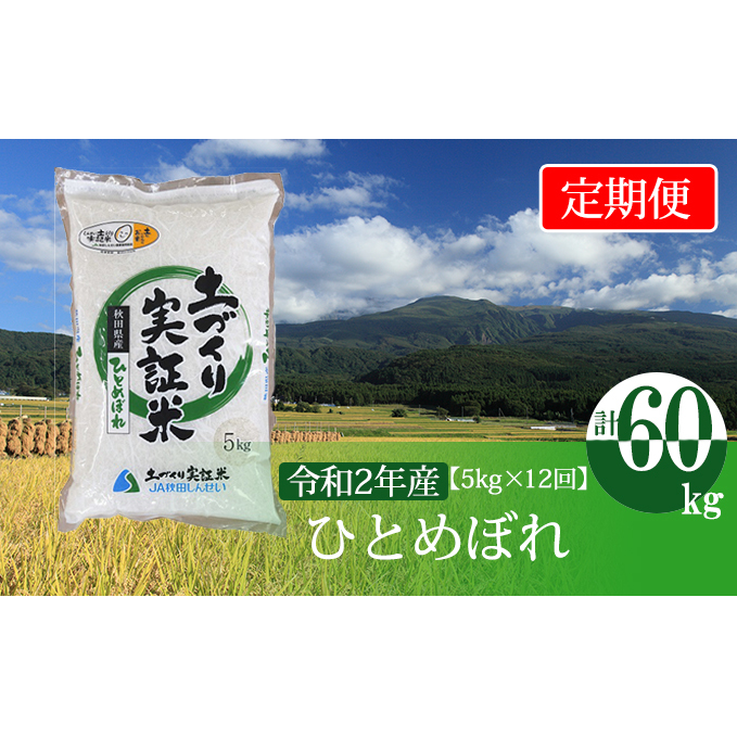 米 定期便 5kg 12ヶ月 令和5年 ひとめぼれ 5kg×12回 計60kg 精米 白米 ※毎年11月より新米