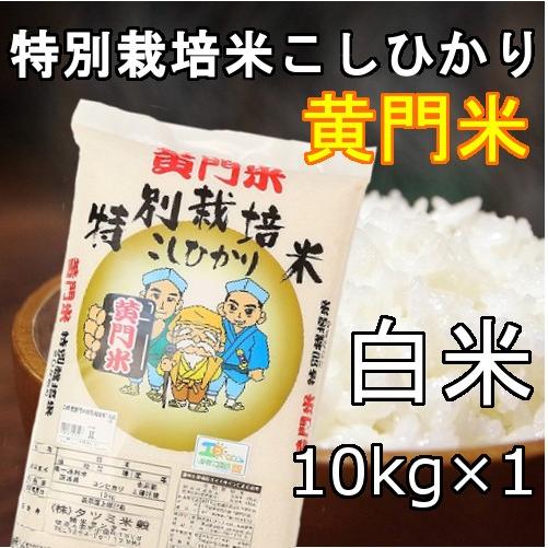 新米!!5年産黄門米特別栽培米こしひかり白米10kg　茨城県　常陸太田