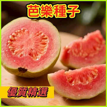 台灣現貨🍐芭樂種子 雞屎果種子 拔子喇叭番石榴｜本土果樹 陽台可試｜四季結果 香氣十足 香甜可口水果種子