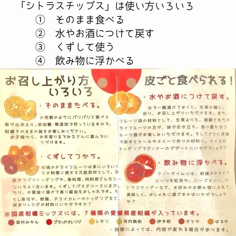 シトラスチップス ミックス 50g 無添加 ドライフルーツ げんき本舗