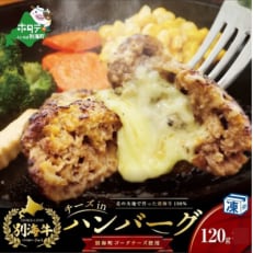 チーズがとろける!別海チーズインハンバーグ(120g×12個)全12回