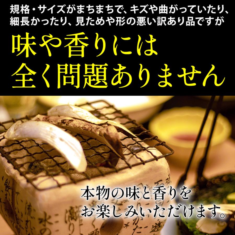 2024年分予約 訳あり 国産 松茸 200g前後 まつたけ マツタケ 岩手 SSS