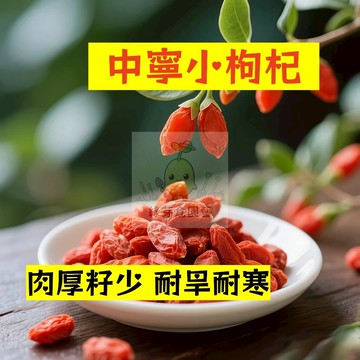 🌱早熟高產 中寧小枸杞種子GQ-5 肉厚籽少 耐旱耐寒  紅耳墜 甜菜子 易生長 高產 抗病抗旱易種植 高產爬藤蔬菜種子