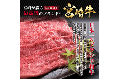 ＜肉質等級4等級以上＞宮崎牛モモスライス(計1kg) F34-191