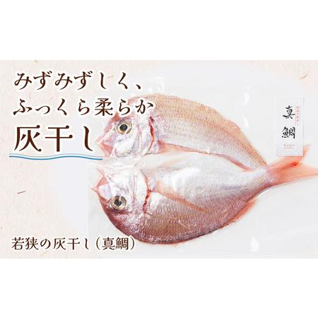 ふるさと納税 福井県産 米かまぼこと鯖蒲鉾と灰干し贅沢5品セット 福井県高浜町